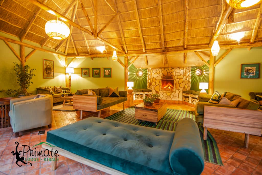 _GL_Collection's tweet photo. A new week, A new opportunity to remind you that it's not too late to treat yourself or someone to an extra special Holiday this month- 
A stay in the heart of Kibale National  Park at Primate Lodge https://t.co/VMC5Noe7yN