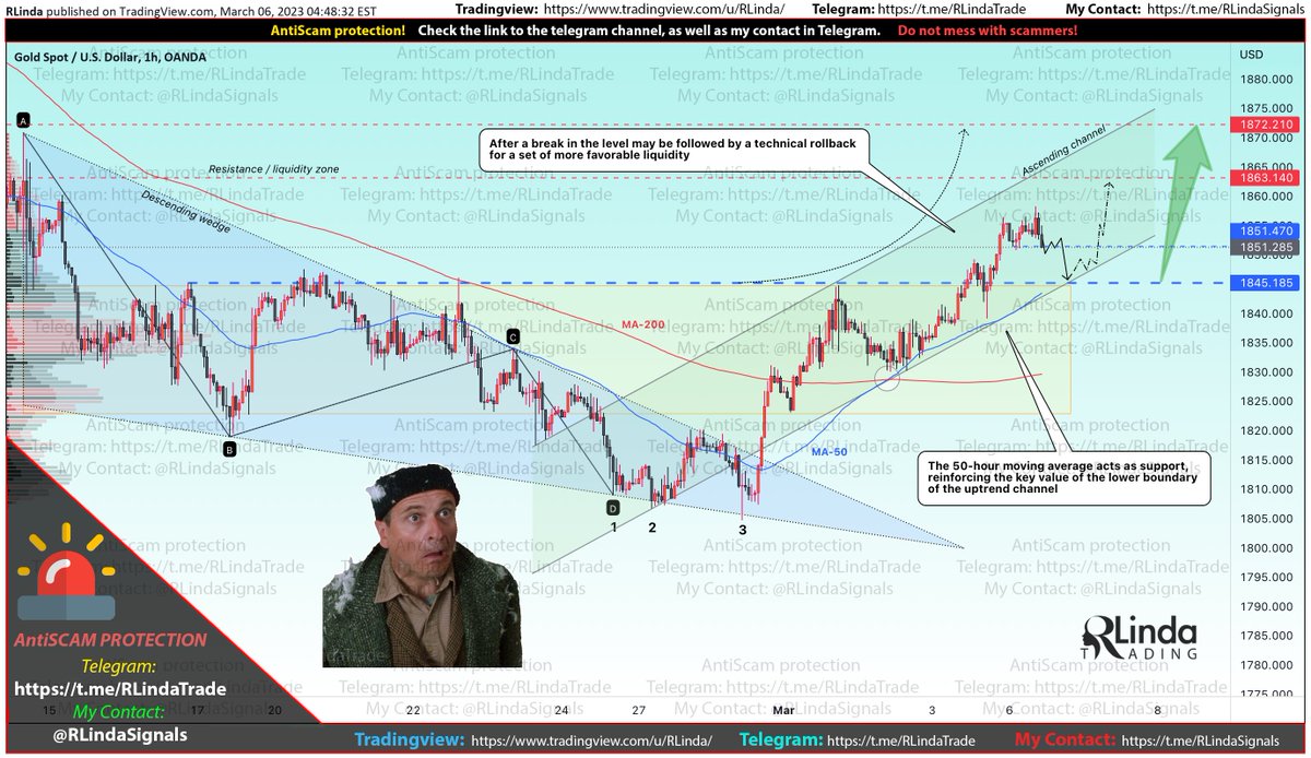 RLindaTrade's tweet photo. #Gold is technically and fundamentally set to conquer new peaks. The medium-term sentiment shows a favorable wind for this. What's next?
#forex #futures #indices #spot #xauusd #xau #xagusd #xag #trading #trader #short #long #forecast #signals #signalservice #signalsprovider https://t.co/J8ocexQNTG