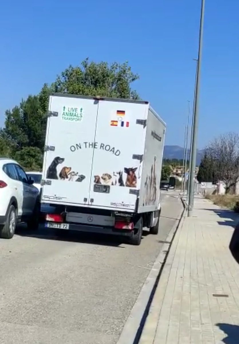 ElSindigato2021's tweet photo. Lo estais esperando eh!
EL VIAJE DE UVE
Otra más que se va a Alemania! #Uve viajó el sábado y llegó ayer por la mañana a su nuevacasa. Ya está instalada, recibiendo abracitos y jugando🤩 Gracias a Elftat y a todas las personas que han hecho esto posible. A ser feliz pequeña! https://t.co/CdqcbsGOrJ