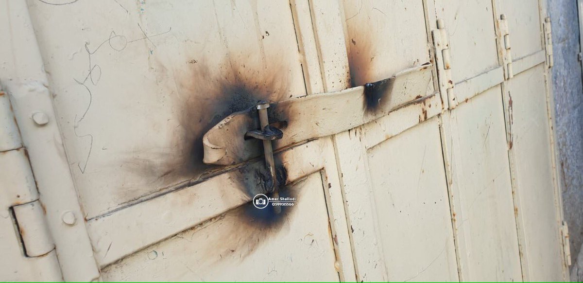 Sarah Wilkinson tweet media