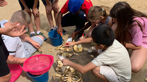 Campus d'Arqueologia i Paleontologia de la UAB tweet media