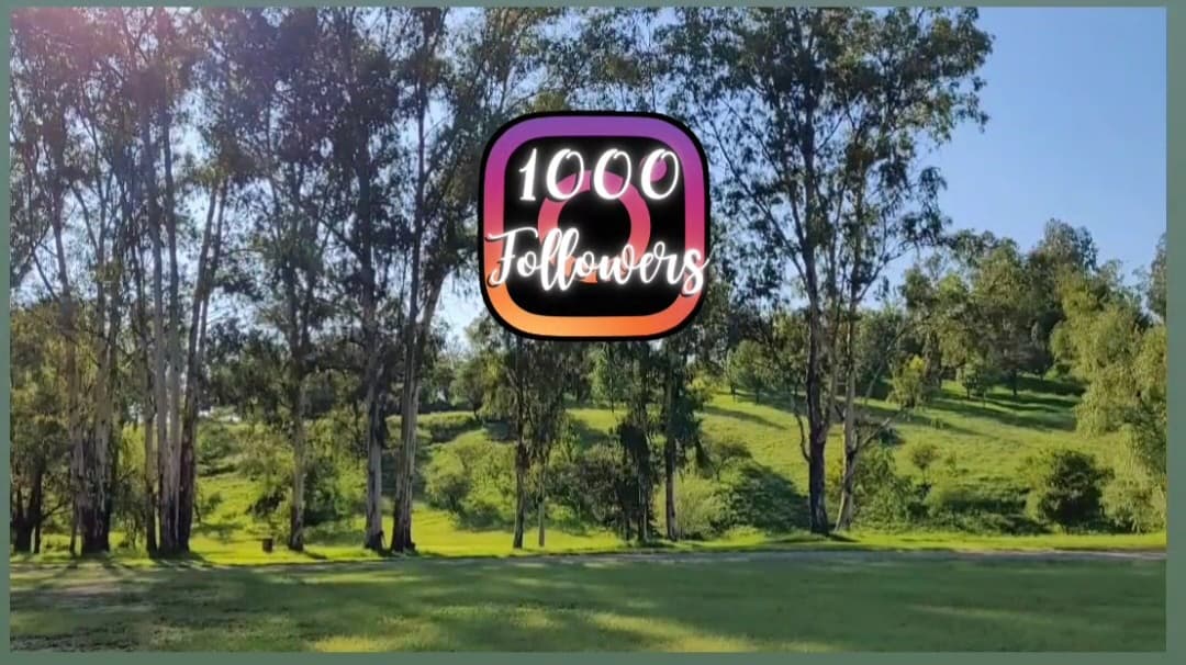 acdpus's tweet photo. ¡Superamos los 1000 seguidores en Instagram! 
+1000 motivos para seguir adelante. 
¡Gracias a todos por permitirnos seguir haciendo lo que tanto nos gusta! 
Si todavía no nos seguís por ahi te dejamos el usuario : 
@acdpuslaloma 💪
#Gracias #Salta #LaLoma #ACDPUS https://t.co/zBuuRgOm4Z
