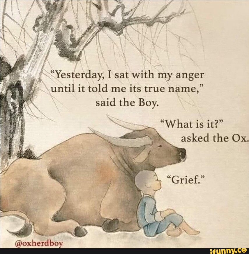 annedodd11's tweet photo. One of the many ways grief may show its face https://t.co/D69umBhaAQ