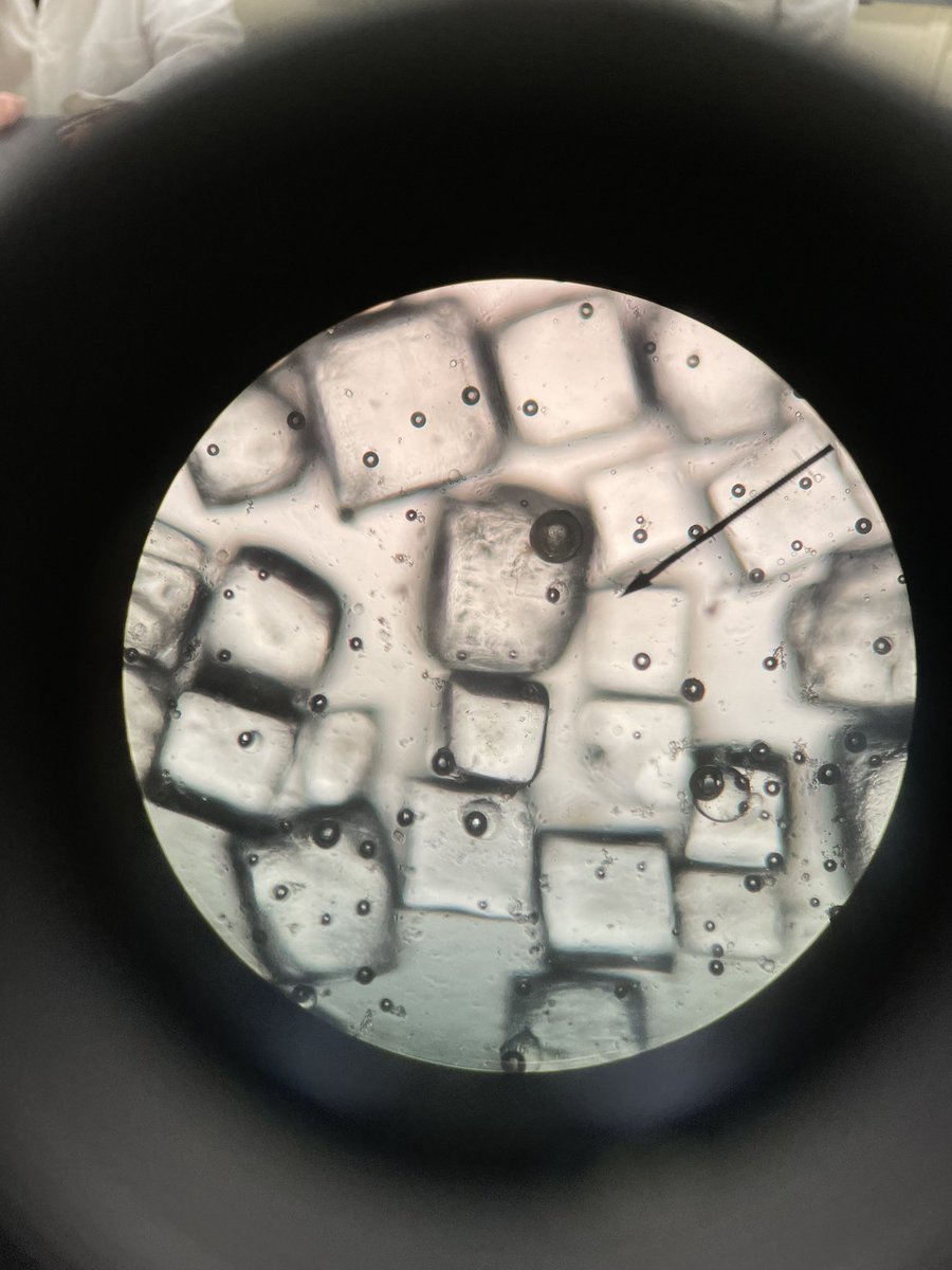 Joette Michelin tweet media