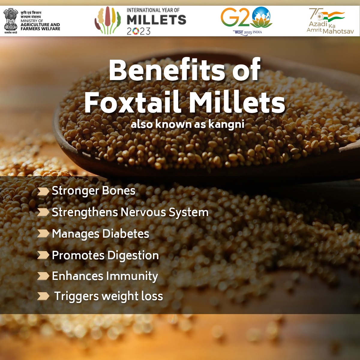 India in Chile on Twitter "RT IYM2023 Foxtail Millets (Shree Anna
