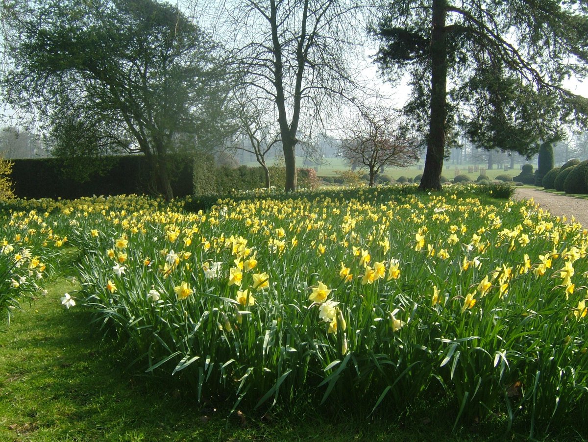 Five beautiful gardens opening in Kent this week; Copton Ash, Haven, Stonewall Park, Godinton House & Gardens (Pictured) and Godmersham Park (Pictured) 

Visit our website for more details 
bit.ly/March13-19

@ngskent #gardensopenforcharity #spring