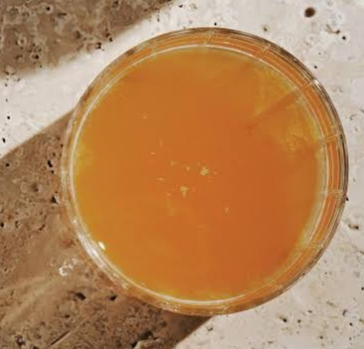 Do you drink this fizzy drink that’s good for your gut yet? We think #Kombucha is delicious (and is even a great cocktail/mocktail mixer), but … NOT ALL KOMBUCHA IS CREATED EQUAL. bordencom.com/home/2023/03/n… #NotEqual #EmpathyEconomics #WellnessIntelligence
