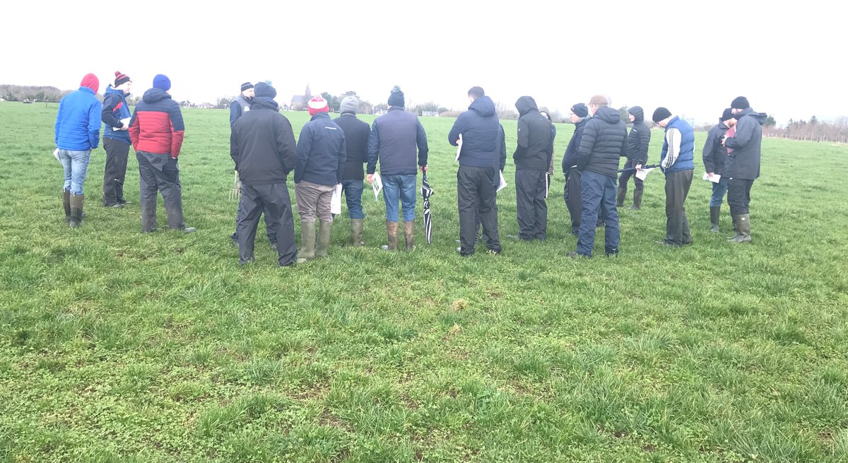 Thanks, Dr James Humphreys of @teagasc #Moorepark & Daniel Barrett of #SoloheadResearchFarm #Tipperary 4 providing great insight on #clover-based #swards systems 4 #lowemissions dairy farming to our executive programme in #sustainableagriculture cohort from @WeAreKerry. @MTU_ie