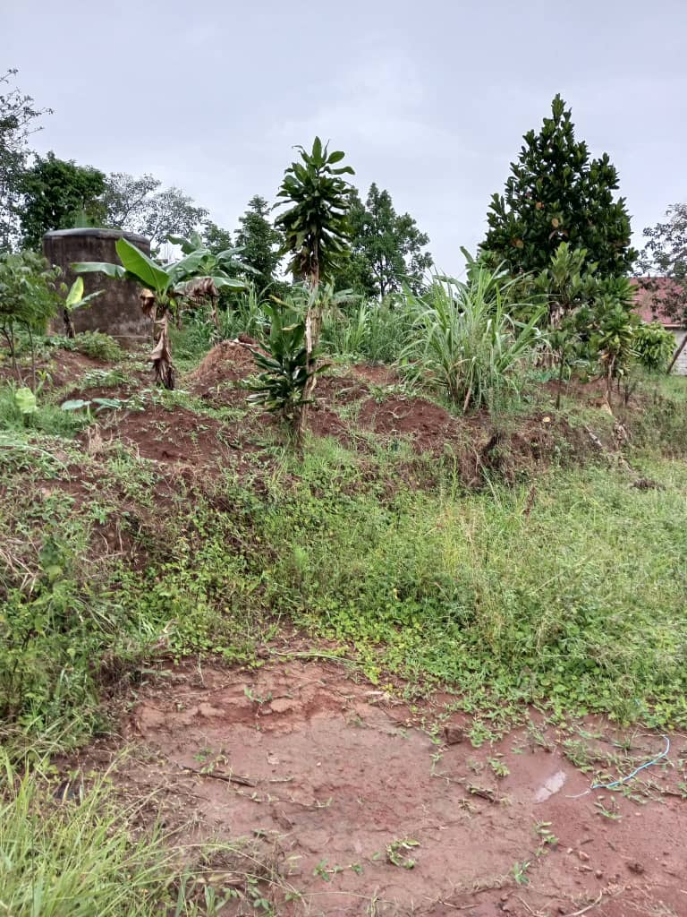 shukranproperty's tweet photo. โค๏ธPLOT FOR SALE IN BUDDO.
๐ #45Decimals with ready private Mailo land title.
๐Selling price #120m_Ugx..
for inspection call 0706592177 https://t.co/7NxaCs45KM