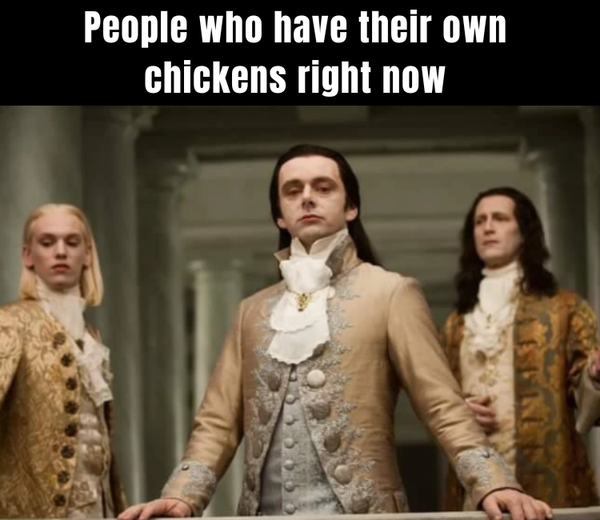 nogridprojects's tweet photo. #survivalmeme #preppermeme #preparedness #survival #EggShortage #eggprices https://t.co/mdlWlkkaxB