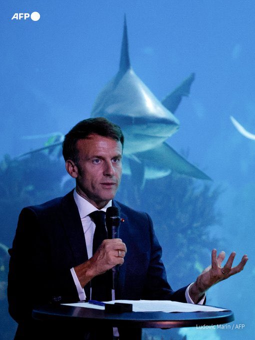 ClaireNouvian's tweet photo. 🚨 Aujourd’hui, nous attaquons l’État français dans deux procédures distinctes.

Nous utiliserons tous les moyens à notre disposition pour obliger @EmmanuelMacron à cesser de détruire les animaux marins et de piller les eaux africaines. 🧵 https://t.co/6xjGrxrsxs