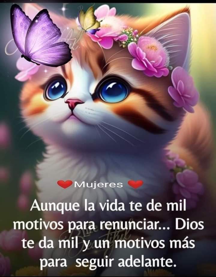 Excelente inicio de semana 🌹🙏