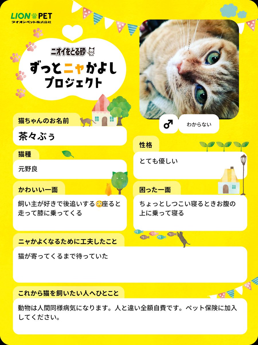 茶々ぶぅも参加します🐱
ずっとニャかよしプロジェクト

#ずっとニャかよし #ニオイをとる砂 #ライオンペット
lion-pet.jp/catsuna/zutto_…