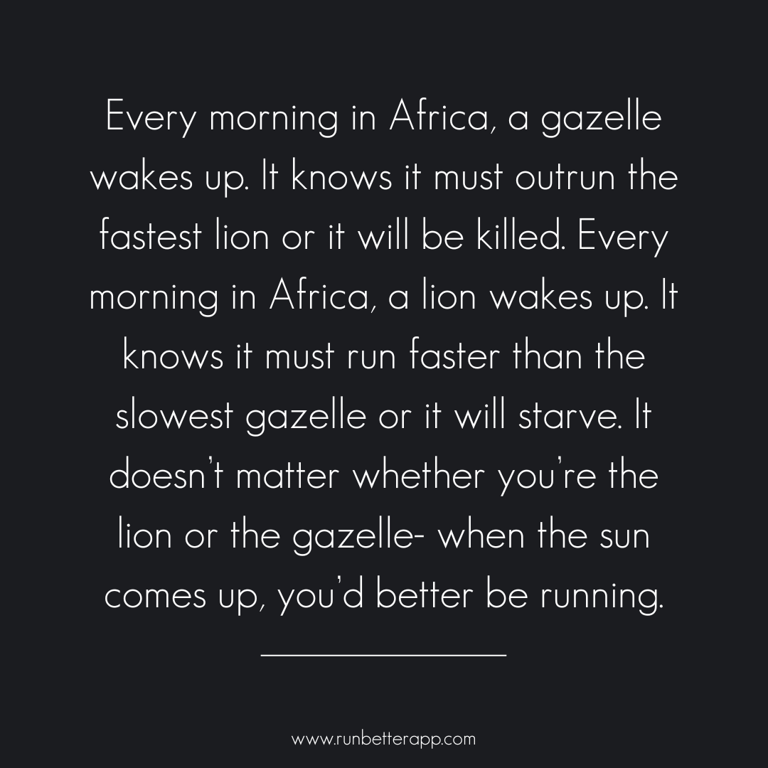 What's your vibe this morning...lion or gazelle?