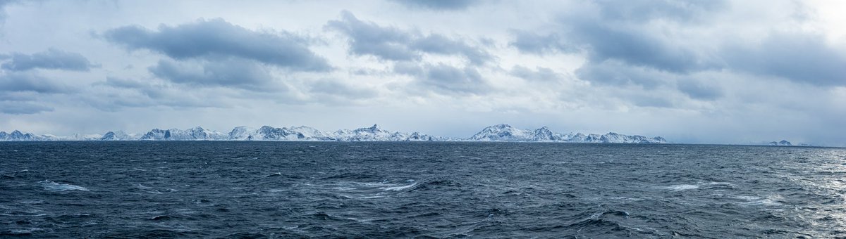 Sergeant P Photographer (@thesergeant_p) on Twitter photo Good morning, I bet you don’t have a office view like these… 😍😍😍
Meanwhile orca’s/killer whales swimming next to us!! #jointhenavyseetheworld #koninklijkemarine <a href="/kon_marine/">Koninklijke Marine</a> #Norway Good morning, I bet you don’t have a office view like these… 😍😍😍
Meanwhile orca’s/killer whales swimming next to us!! #jointhenavyseetheworld #koninklijkemarine <a href="/kon_marine/">Koninklijke Marine</a> #Norway