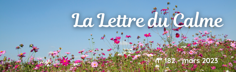 La Lettre du Calme de mars est sortie ! - mailchi.mp/980b906af8f2/l… hypnose et perte de poids, after-work sophro, les femmes &amp; l'argent, les questions de mes petits-enfants, secourisme en santé mentale en avril... #sophrologie #hypnose #PSSM