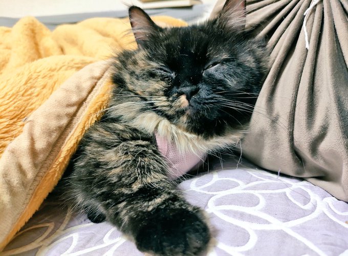 薄目で見てるね 