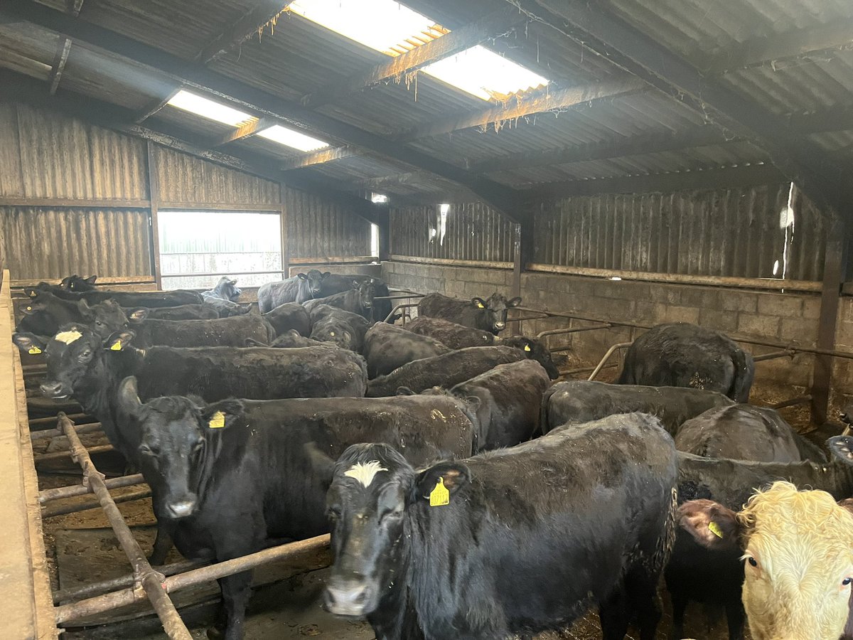 George Thompson tweet media