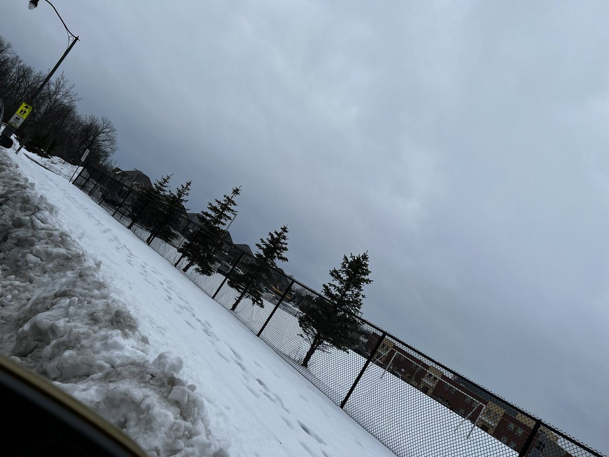 wavesofsea's tweet photo. These pictures are right front of Lorenville school, Lorenville drive, main walkway for kids to walk to school but it has not plowed yet, seriously. I thought school areas are priority. It is fully covered with snow. @CityBrampton @RoweSantos @paulvicente https://t.co/rB8aditdMz