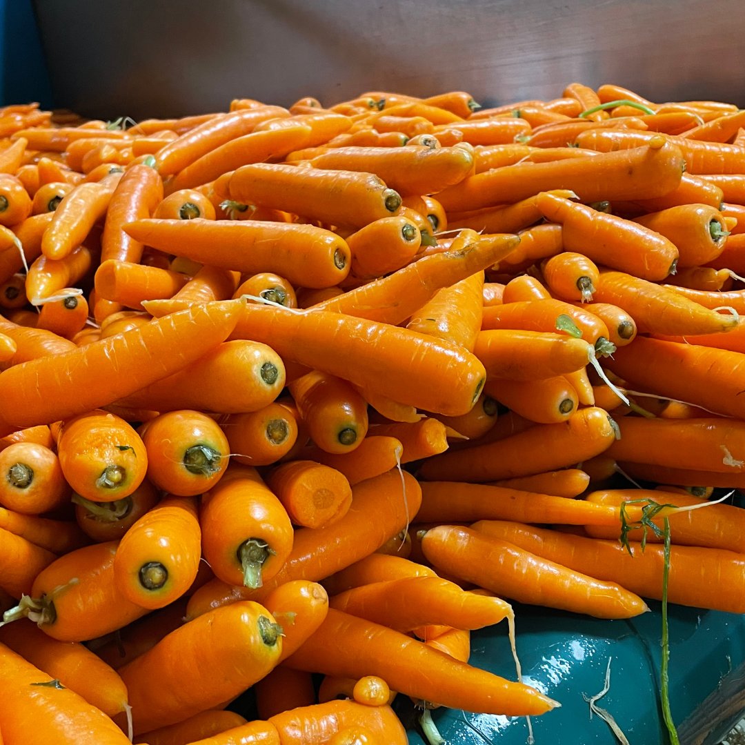 NFUtweets's tweet image. It's National Food Waste Week!

NFU Organic Forum chair Andrew Burgess (@Burgee2) shares how his family business has cut down on its food waste &amp;amp; working with local charities to ensure surplus food is funnelled back into the local community.💪

Read more👉ow.ly/MANc50N9xWb