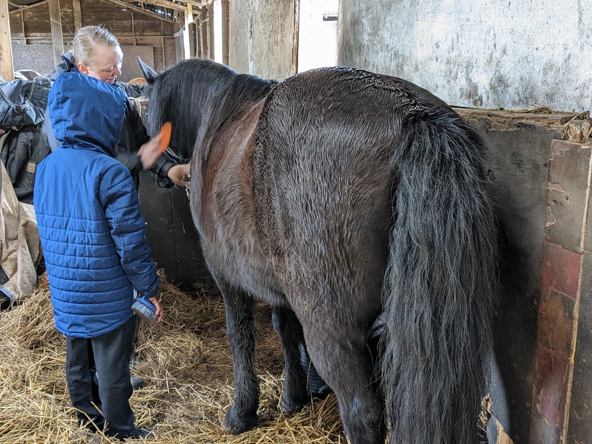 Today <a href="/shylowen/">Shy Lowen Sanctuary</a> the children learnt about different horse breads and what boy and girl horses are called. Do you know?
<a href="/PleasantStPrim/">PleasantStreet</a>