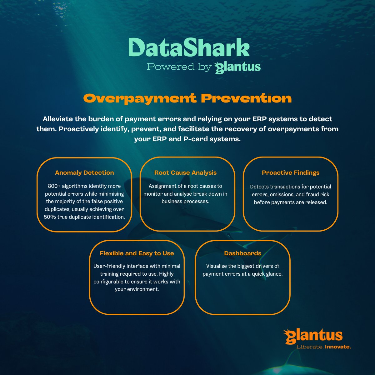 Save money and prevent overpayments with Glantus DataShark Overpayment Prevention! Proactively monitor your data systems and recover overpayments - the perfect tool for any business!  💰 🦈

lnkd.in/eEmWQenp

#datashark #overpaymentprevention