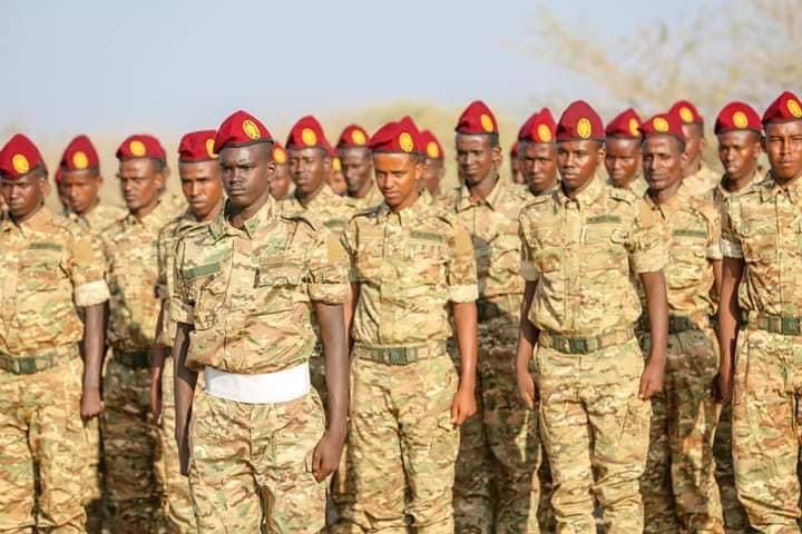 HusseinidowAli's tweet photo. The president of Southwest State, H.E. @Laftagareen, has presided on Monday over the graduation ceremony of the region’s Darwish forces, who successfully completed advanced military training in #Baidoa.
#Southwest https://t.co/TCltKUKMEw