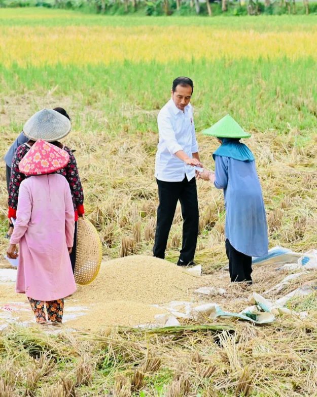 jokowi's tweet photo. Melintasi Jalan Lingkar Baru Soreang, Bandung, siang tadi, saya mendekati sejumlah petani yang sedang memanen padi. 

Mereka mengungkapkan bahwa harga gabah kering Rp6.000 per kg, masih tergolong baik. Saya juga mendengarkan keluhan mereka soal pupuk yang dinilainya masih mahal. https://t.co/riVGK8EzW7