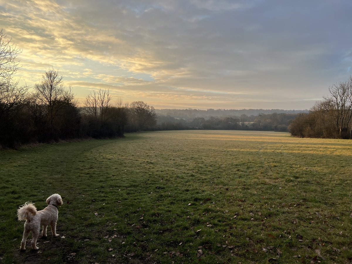 Deborah Taylor tweet media