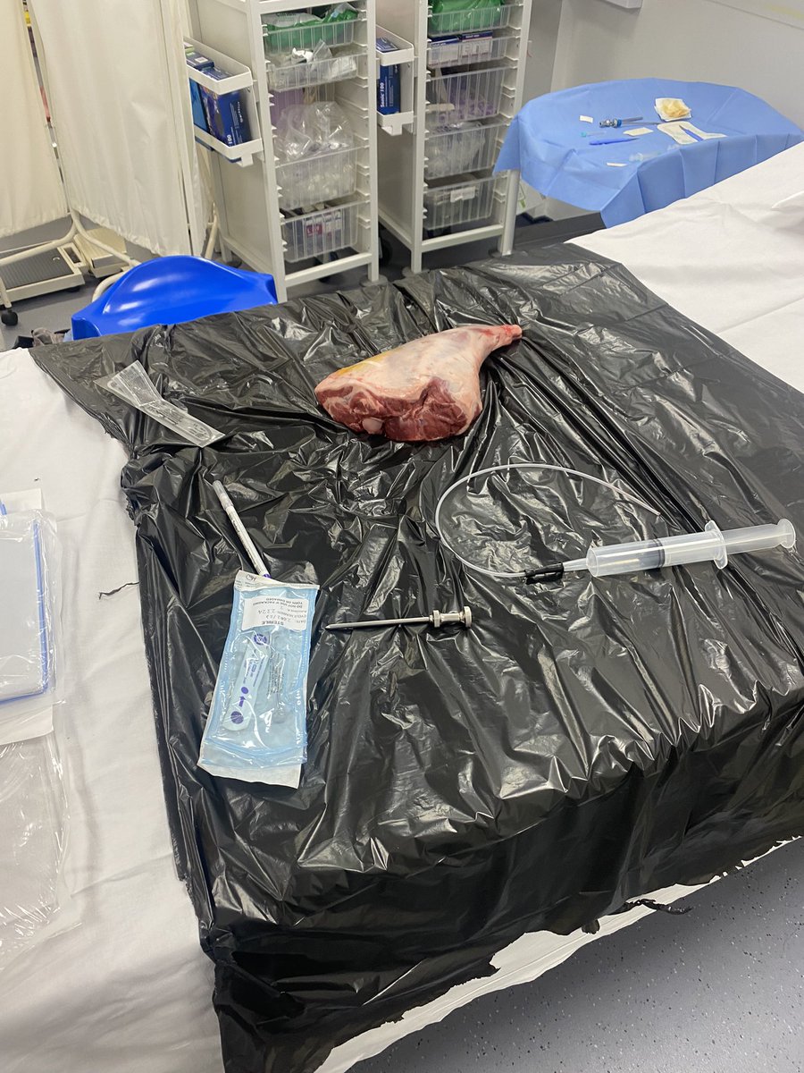 Dr Lauren Struszczak tweet media