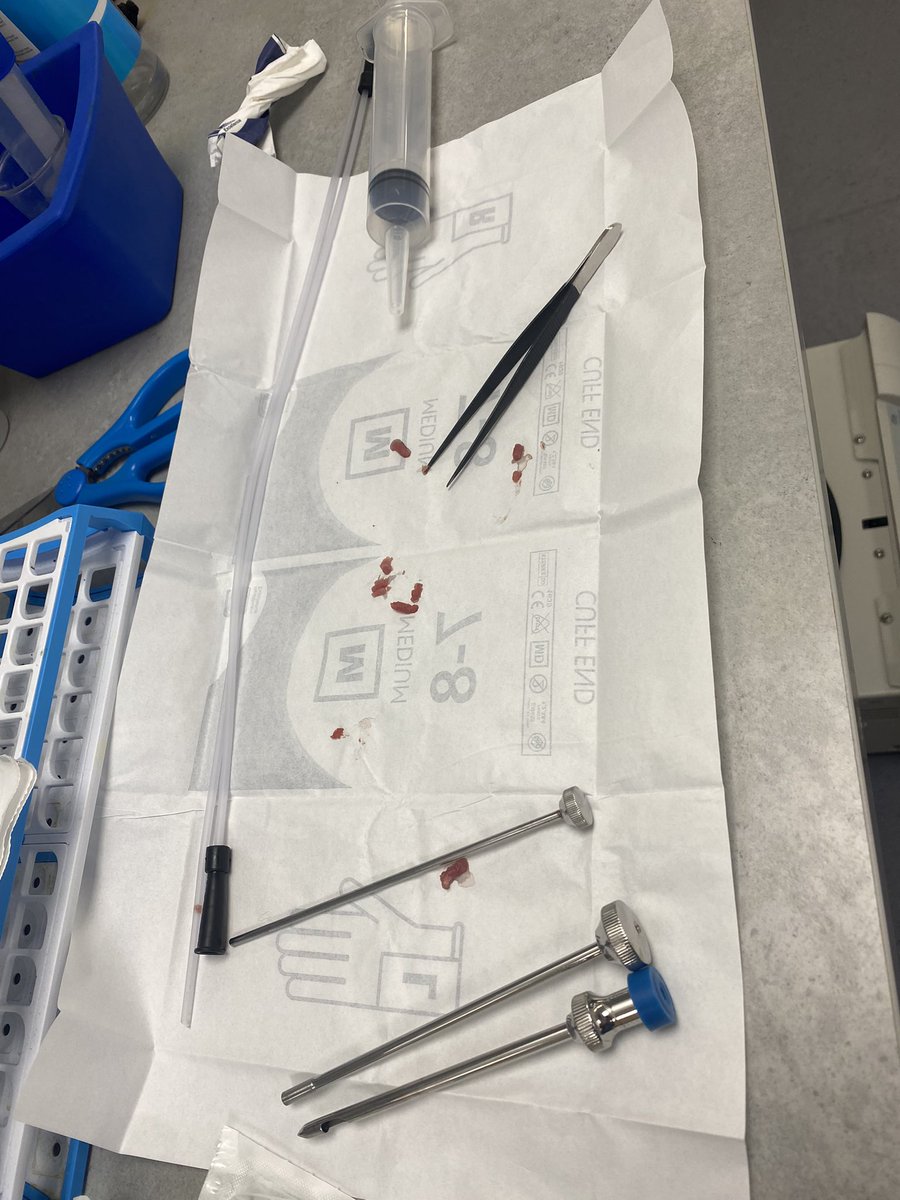 Dr Lauren Struszczak tweet media