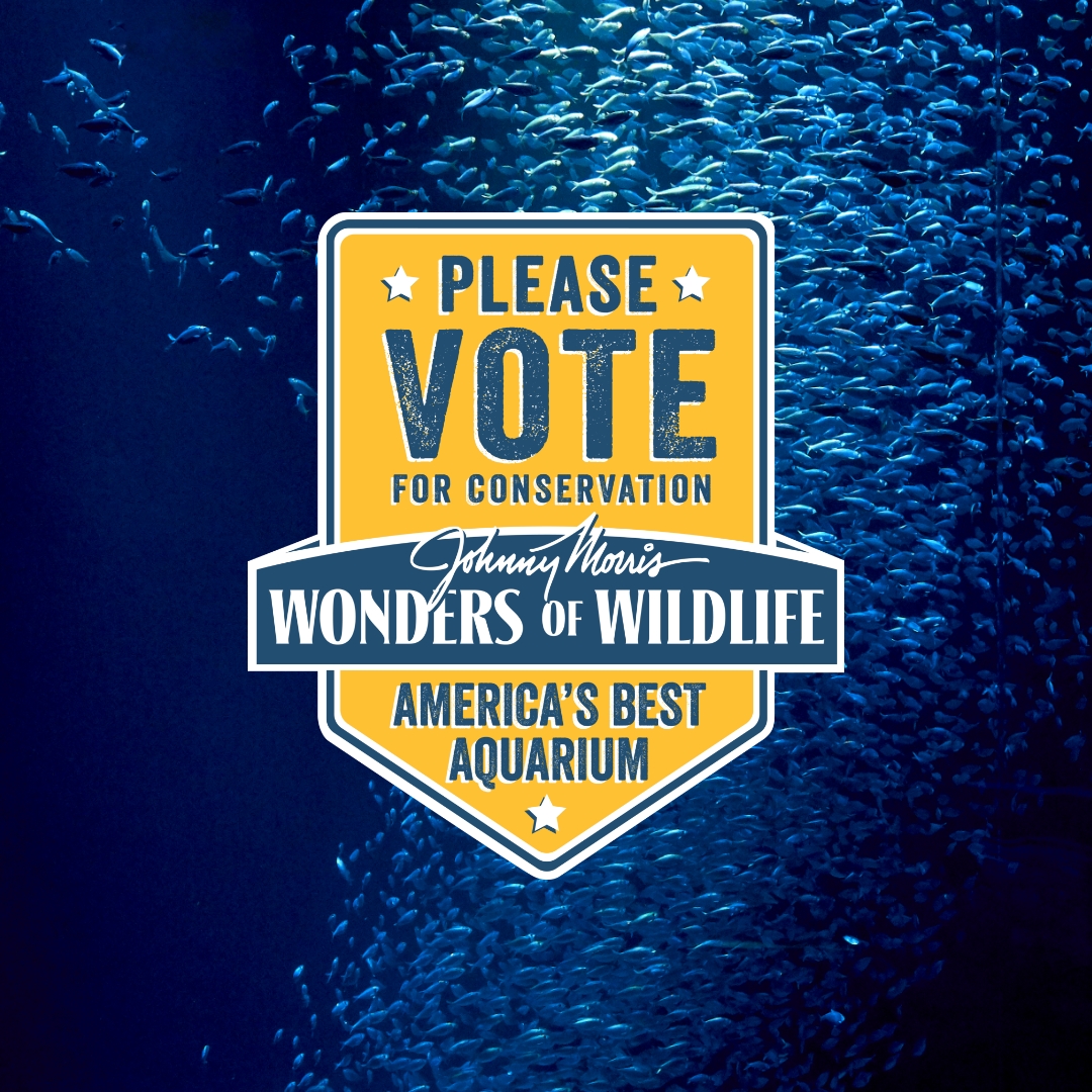 ItsBristolBaby's tweet photo. Last Day to vote for our friends @WOWaquarium as USA Today's "America's Best Aquarium".
Vote Now: https://t.co/huhGw4SZZO
#ItsBristolBaby @BassProShops @Cabelas #VOTEWOW #WOWAquarium https://t.co/zxvFK6G8wK