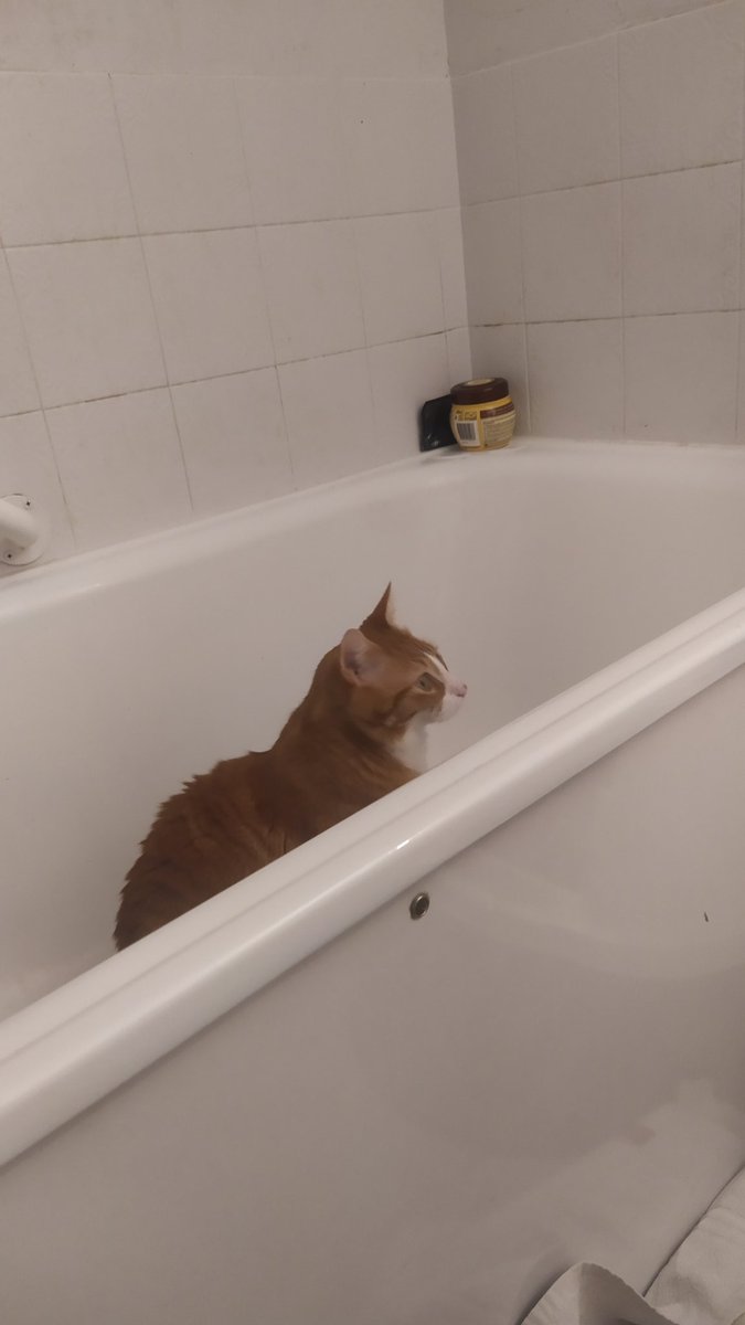 emnefef's tweet photo. @asmr_kali 🚰 https://t.co/v0VYoLa8QJ
