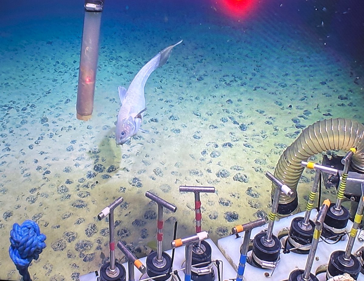 Adrian Glover tweet media