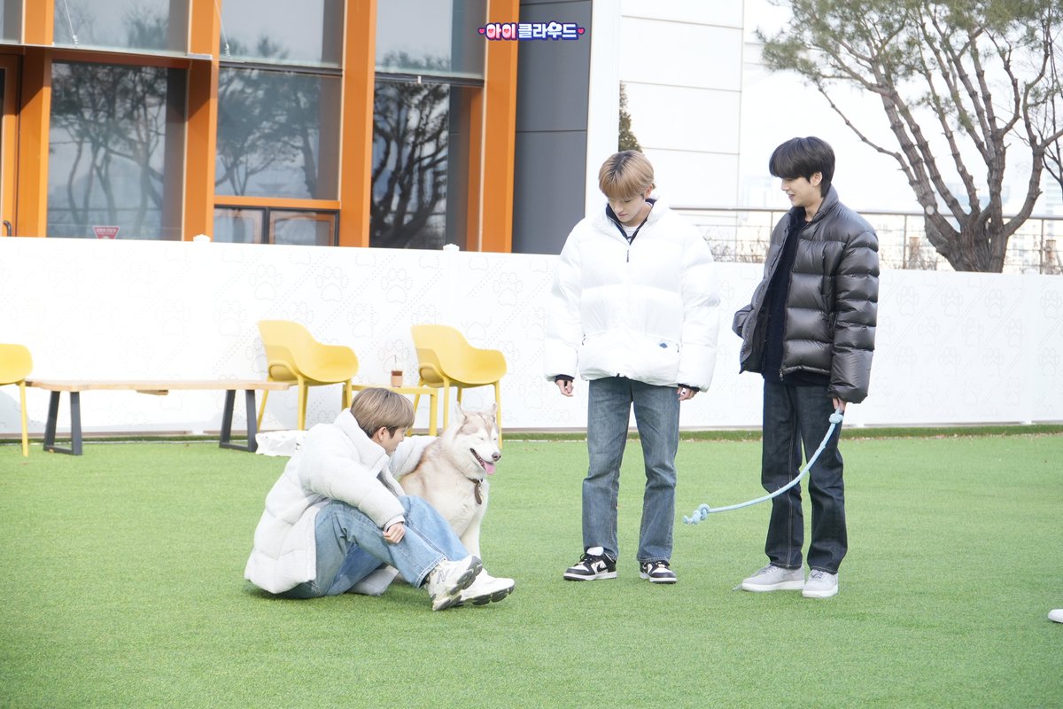 Sangyedn's tweet photo. The Boyz will meet at Ark this week. 5 years old prodigy dog ​​Namu, competes on equal footing 27 years old genius dog Younghoon?! If you want to see us, you have to look at iCloud again next week! The blessing of Kylo X The Best Boys continues. See you on Shudol YouTube! 👋🏻 https://t.co/Avsl4BEe33