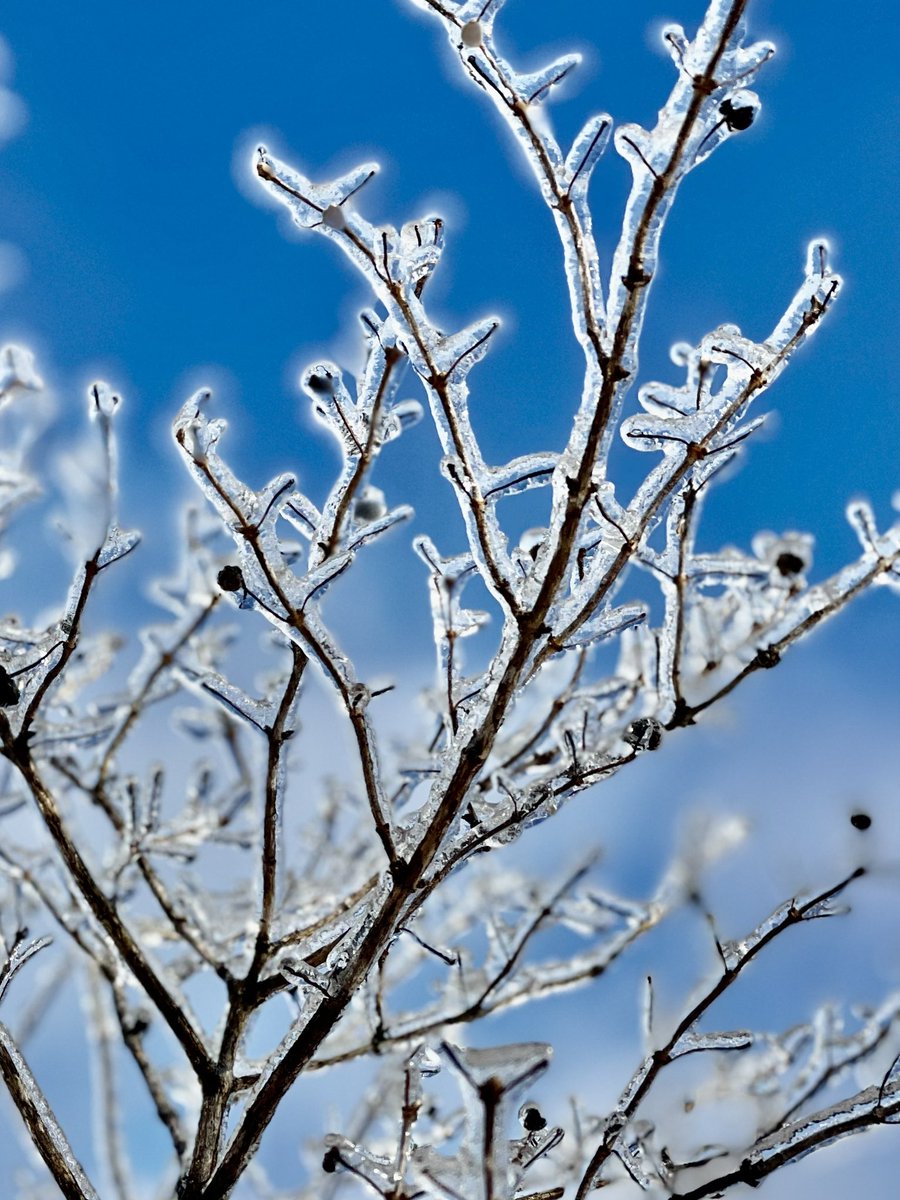 EgsgardMediatn's tweet image. Have you ever started telling someone something important to you and difficult to talk about, only to have them #interrupt to describe a time when the “exact same thing” happened to them, to ask an irrelevant question or provide an opinion before you were finished? 1/5