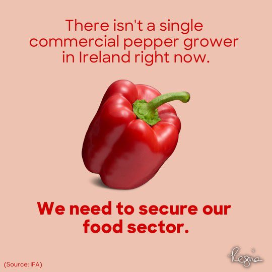Regina Doherty MEP (@reginado) on Twitter photo If you’ve been to any Irish supermarket recently, you’ll know that fresh produce is in short supply.
We need to do more to support Irish growers.
At this stage, it is quite literally a matter of survival. Just ask pepper growers. <a href="/IFAmedia/">Irish Farmers' Association</a> <a href="/Farming_Indo/">Farming Independent</a> <a href="/farmersjournal/">Irish Farmers Journal</a> If you’ve been to any Irish supermarket recently, you’ll know that fresh produce is in short supply.
We need to do more to support Irish growers.
At this stage, it is quite literally a matter of survival. Just ask pepper growers. <a href="/IFAmedia/">Irish Farmers' Association</a> <a href="/Farming_Indo/">Farming Independent</a> <a href="/farmersjournal/">Irish Farmers Journal</a>