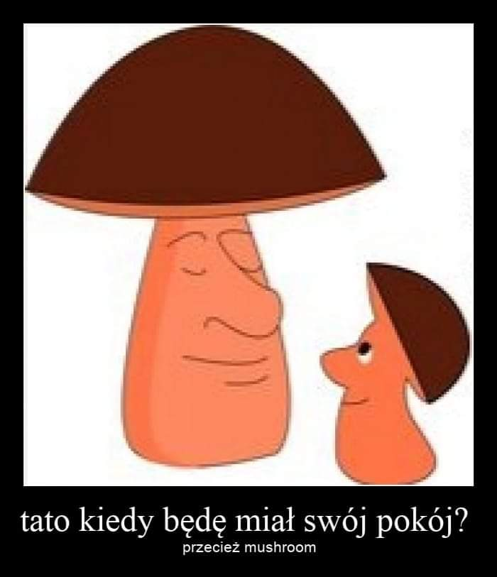 Arktos ⛄️ (@arktos0) on Twitter photo 