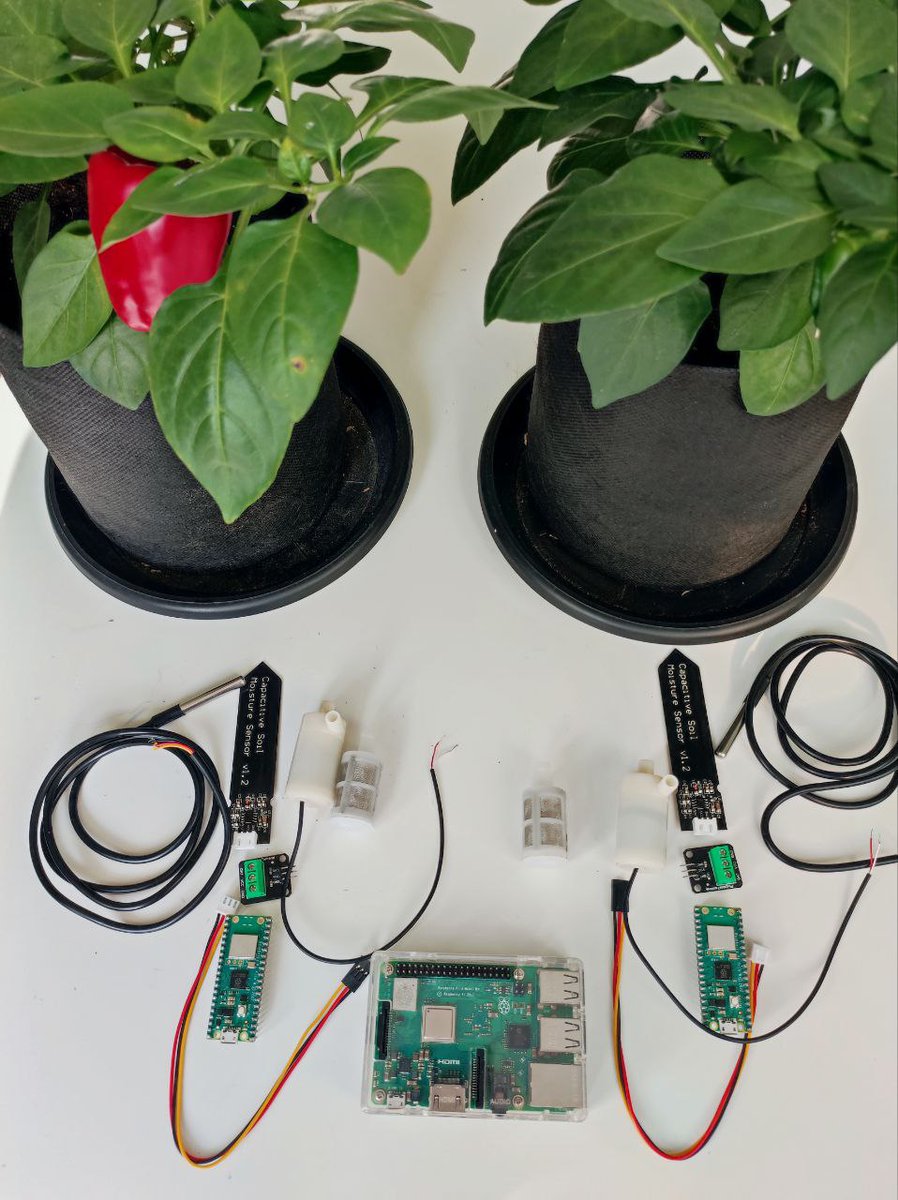 nblpblc's tweet photo. Finally found the motivation to build some new features for my #growlab.
E.g., self-watering system and soil temperature reader. Thanks to #MonthOfMaking. https://t.co/SHCDNfOs13