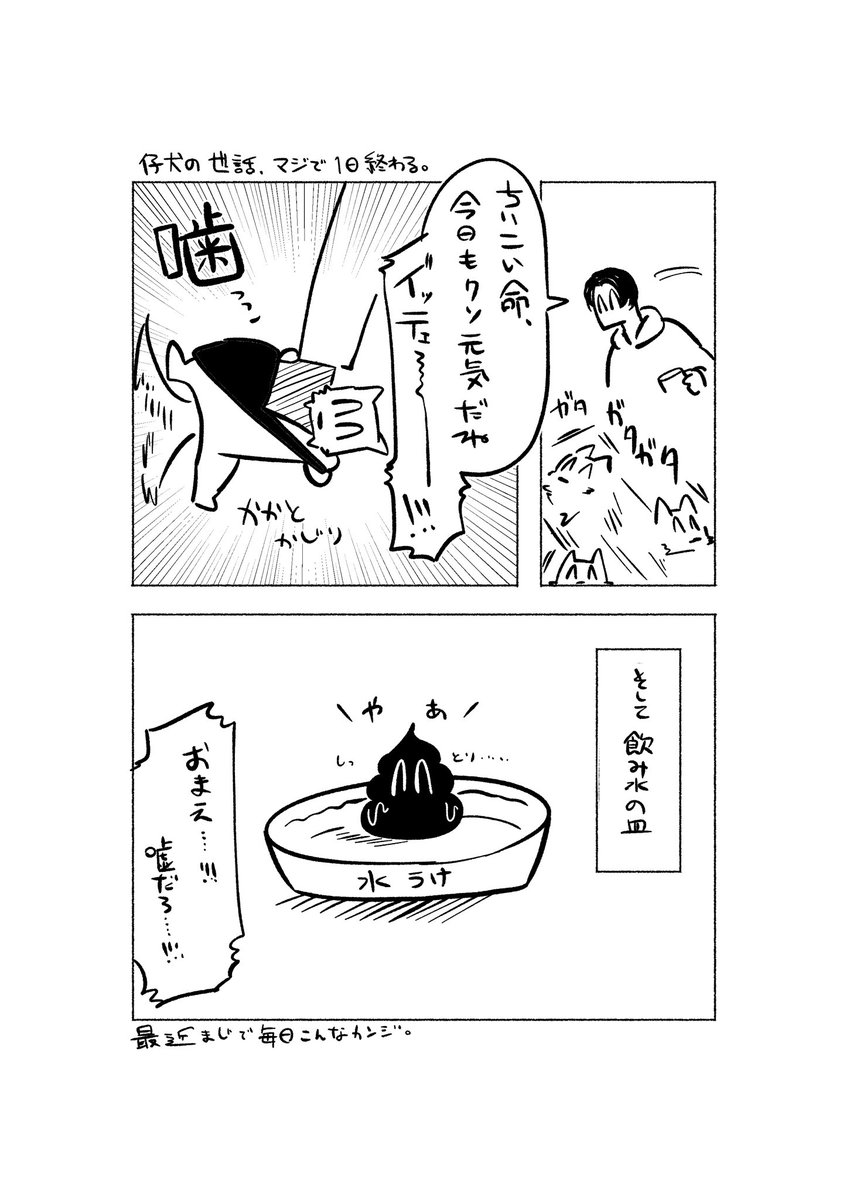 絵日記 