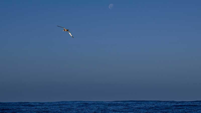 Float Magazin tweet media