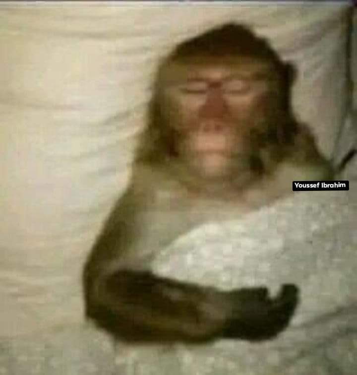 نزلت الجامعة وقعدت ساعه واحده وروحت 

انا باقي اليوم في البيت :