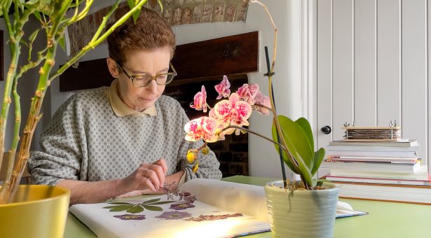 NEWS - Professor Anne Osbourn receives prestigious Novozymes Prize

Anne Osbourn has been awarded the 2023 Novozymes Prize for her pioneering work producing important drugs &amp; improving the natural defence systems of plants

okt.to/SMq3Jv

<a href="/NorwichResearch/">Norwich Research Park</a> <a href="/AnneOsbourn1/">Anne Osbourn</a>