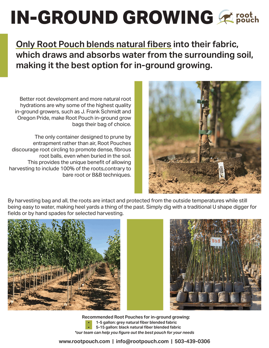 RootPouch's tweet image. 