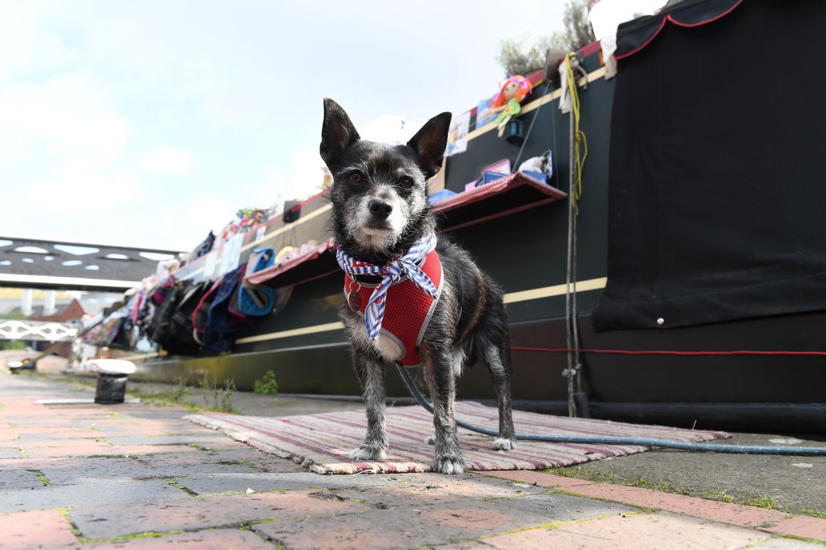 Canal & River Trust tweet media