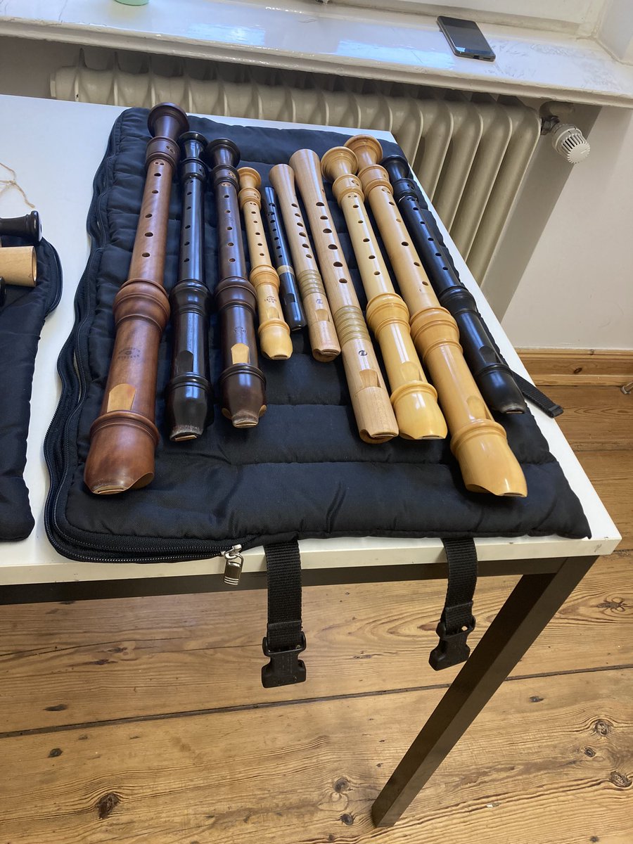 tone:scapeさんからの委嘱作品、古楽器アンサンブルのための"Secret Meeting"を書き終えました✏️
初挑戦の楽器ばかりでしたが、積極的な奏者の皆さんと密に打ち合わせをしながら、楽しく書くことができました。
夏にポツダムで初演されます🇩🇪