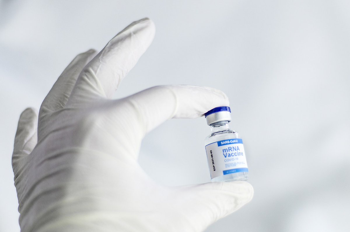 DiarioMomentoBr's tweet photo. Vacina Bivalente Covid-19: mais de 1 milhão de doses já foram aplicadas

https://t.co/nfuPHEVapB

#Saúde https://t.co/b9NdlAbRt6