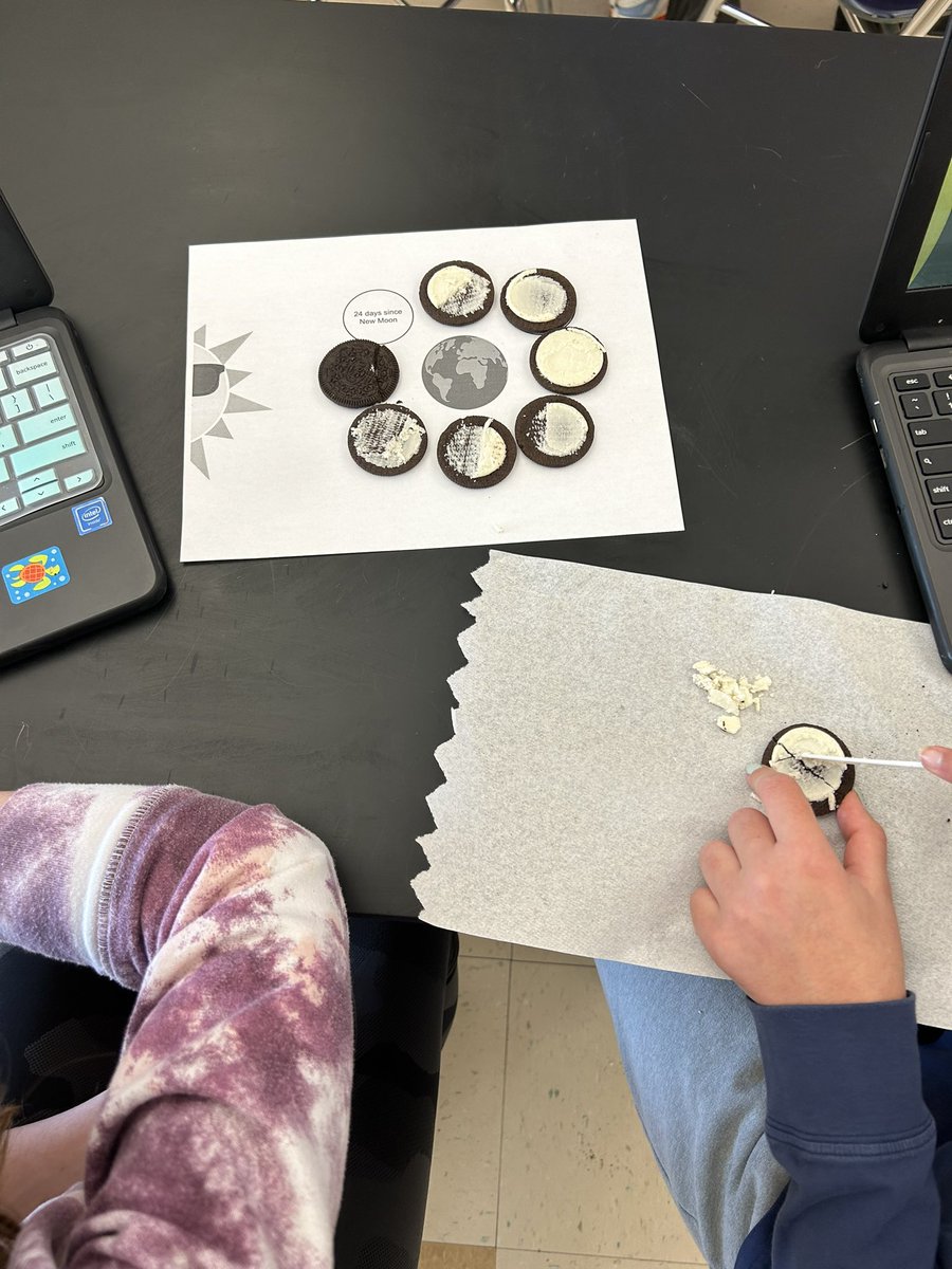 Ms. Katherine Ilenko tweet media