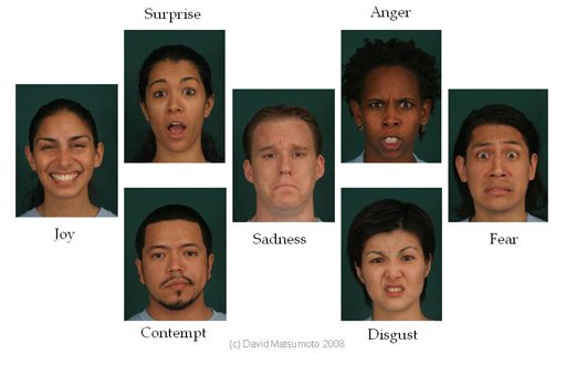 davidmatsumoto's tweet photo. Over half a century of scientific research has documented that 7 facial expressions of emotion are universally expressed and recognized, all around the world, regardless of race, culture, nationality, religion, gender or any other demographic variable: https://t.co/DyD0KvbKGc https://t.co/qmfUsUfdE8