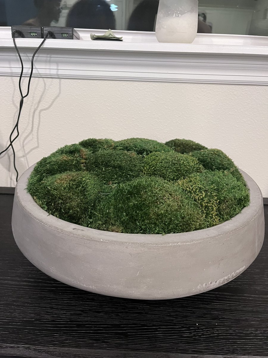 The Great Serpent Mound reminds me of this pot of fake grass since the both seem to hide an animal in the earth. A serpent and a turtle shell.